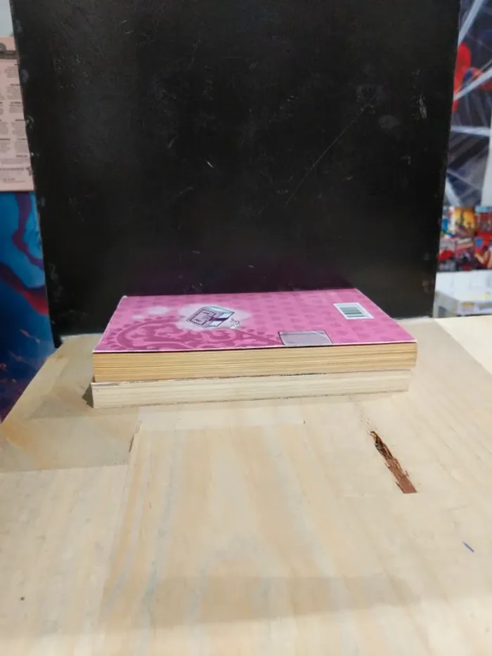 Pink Diary – Tomes 1 & 2 - photo numéro 3