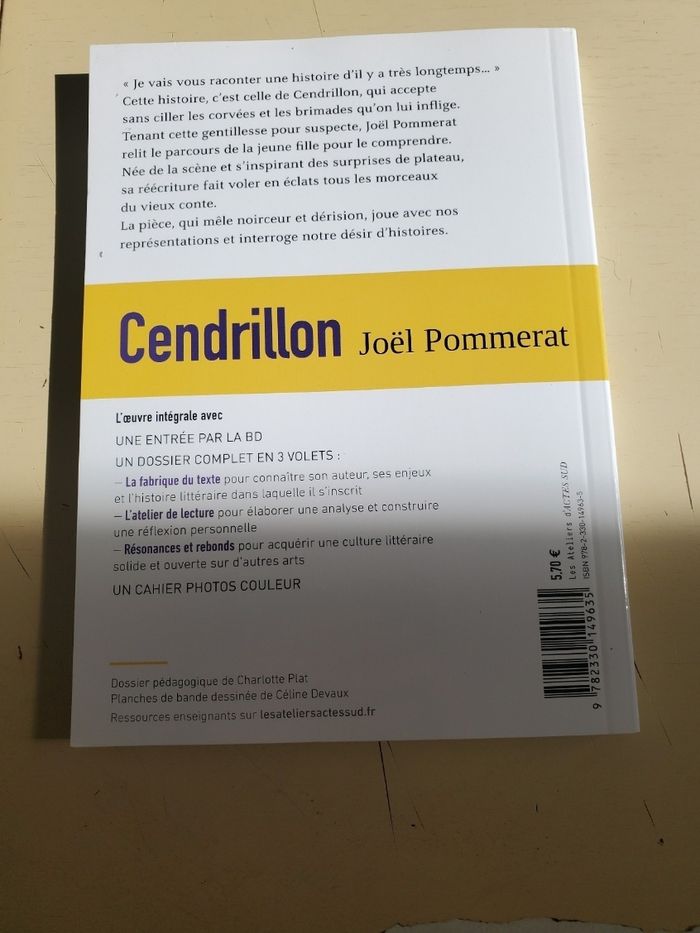 Livre cendrillon de joël pommerat - photo numéro 2