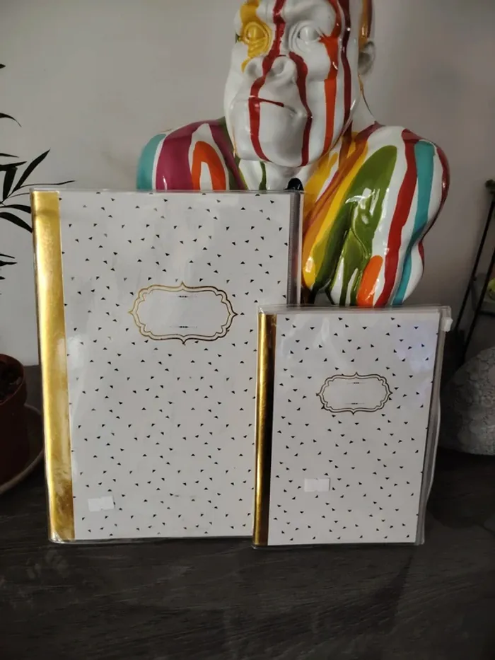 Le lot de 2 cahier