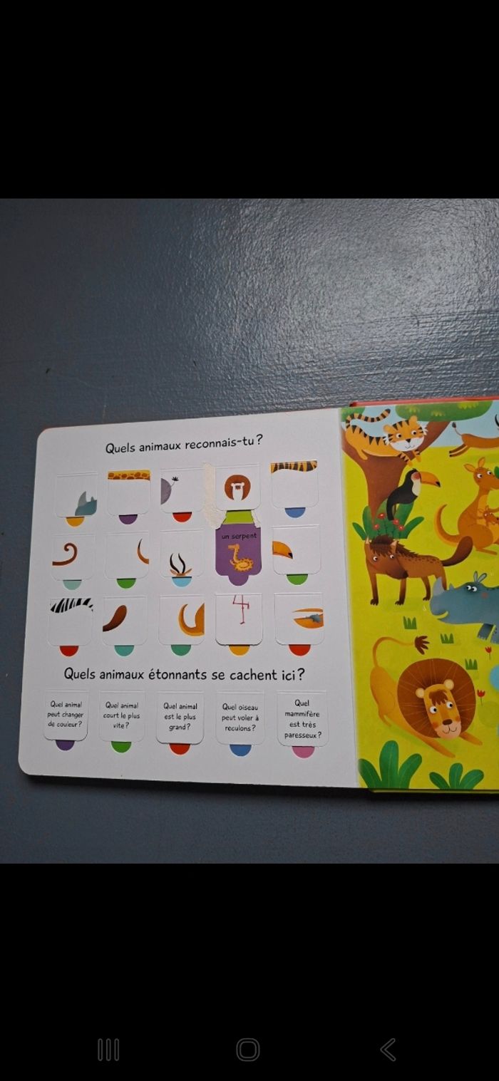 Livre à rabats - photo numéro 9