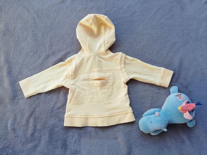 Veste - photo numéro 3