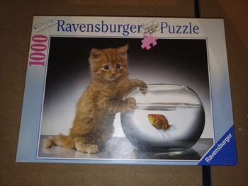 Puzzle chaton aquarium poisson ravensburger 1000 pieces