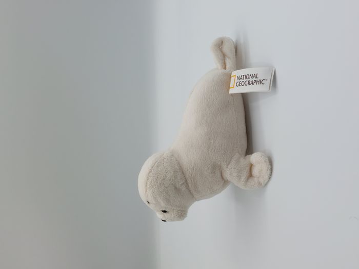 Peluche doudou phoque blanc crème NATIONAL GEOGRAPHIC 20 cm 2017 Venturelli - photo numéro 3