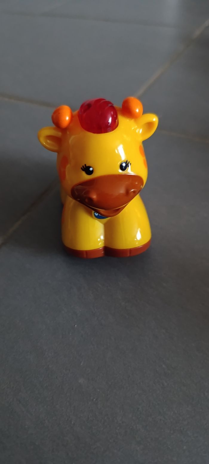 Tutut animo - photo numéro 4