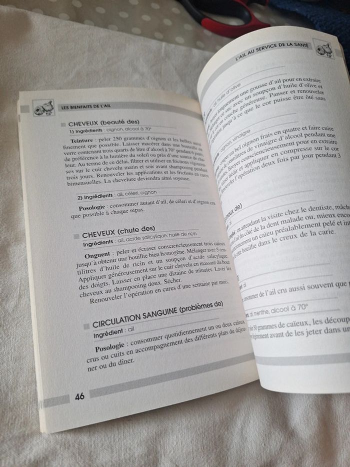 Livre de bie. Être sur ail - photo numéro 4