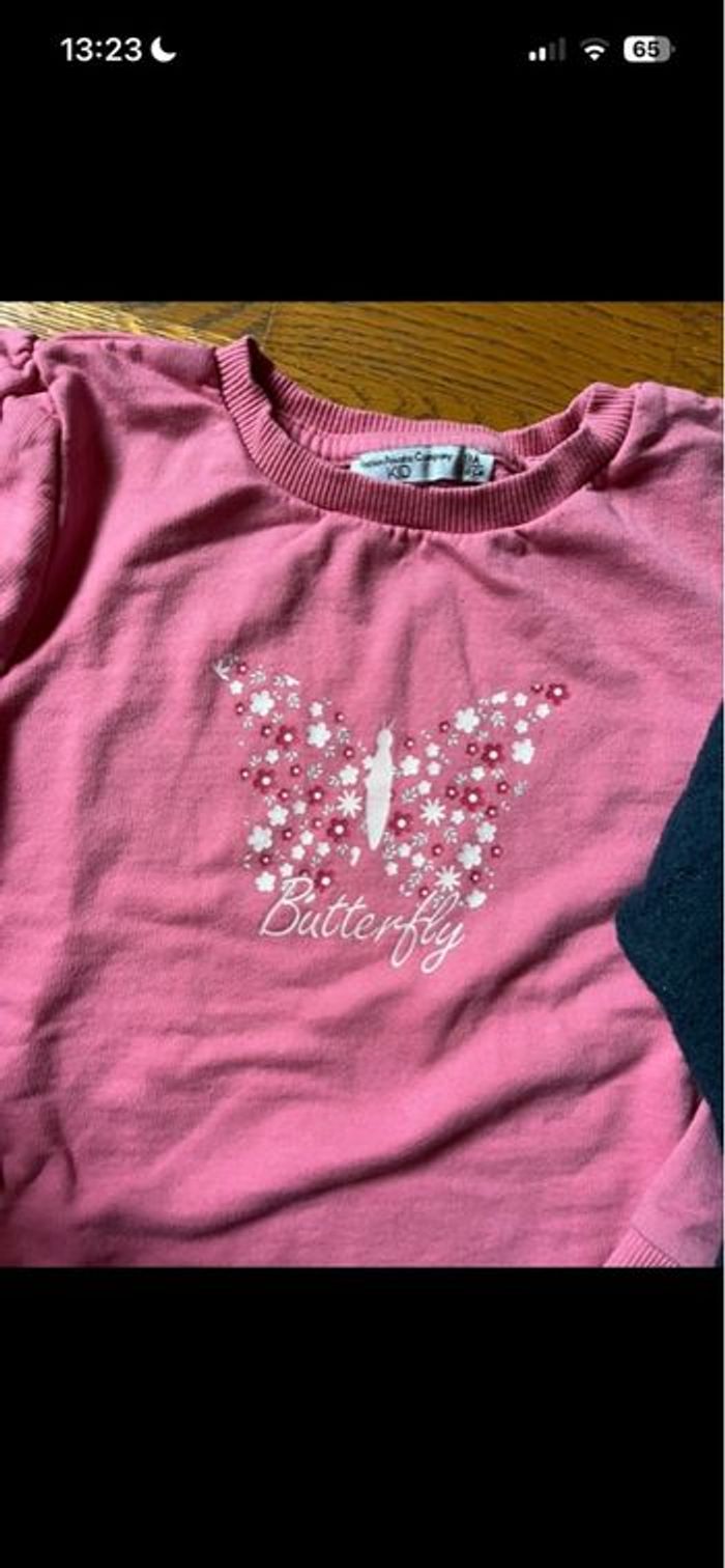 Lot de 2 pulls - photo numéro 2