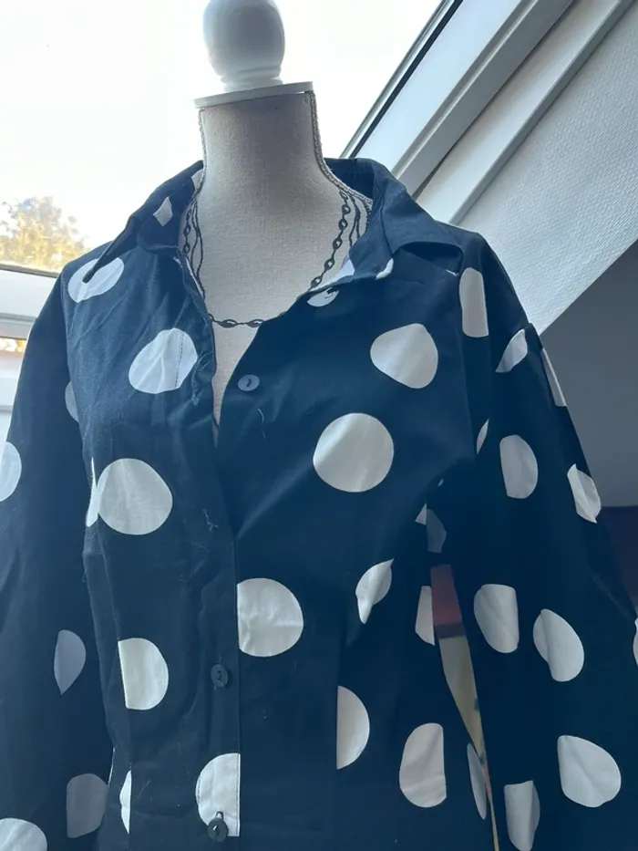 Robe à pois cintré Mohit - photo numéro 3