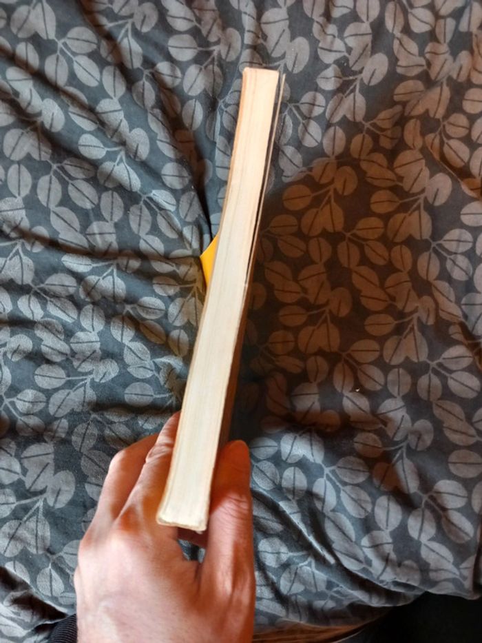 Plaisir de photographier - photo numéro 5