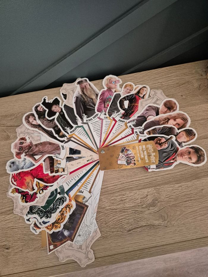 Harry Potter - Mes portraits collector - photo numéro 2