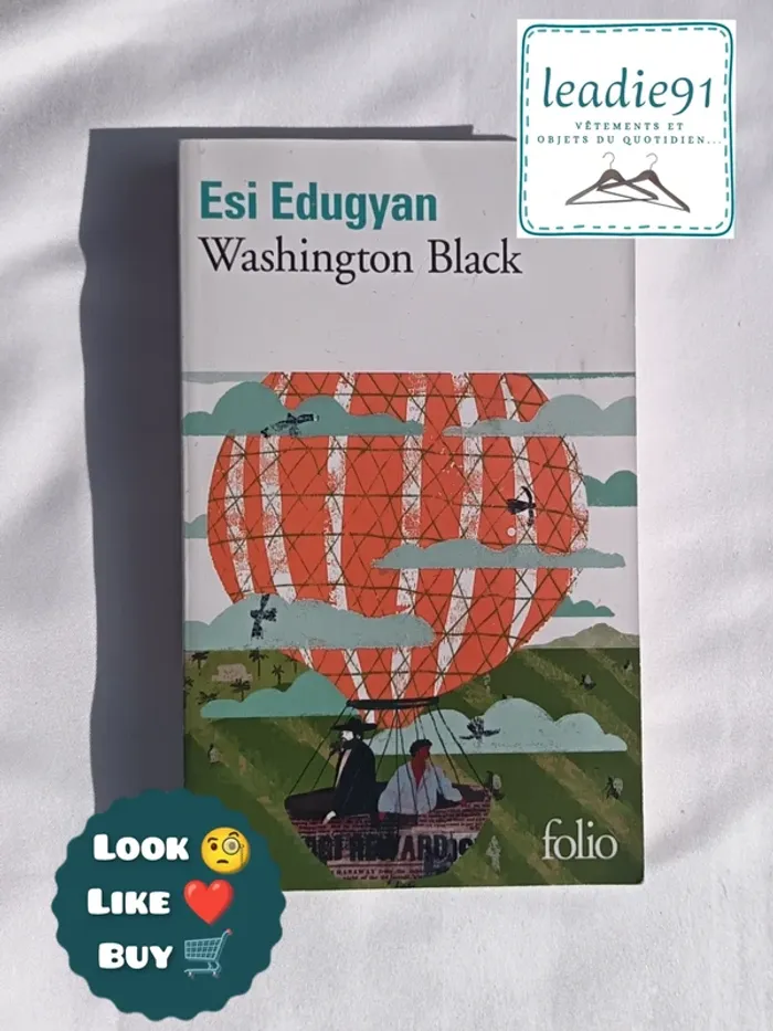Livre Washington Black