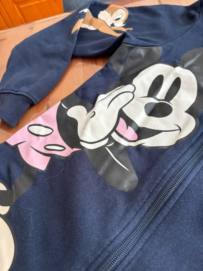 Combi Disney - photo numéro 3