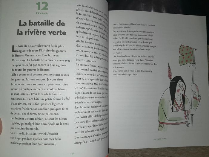 gros livre d'histoire les jours pairs - photo numéro 4