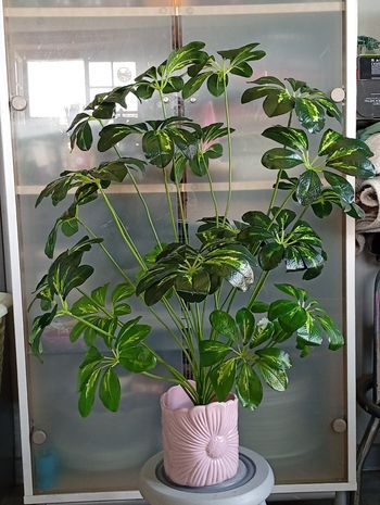 magnifique plante artificielle 