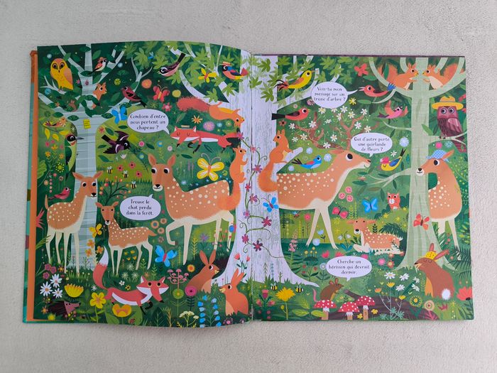 Livre Cherche et trouve dans la forêt Usborne - photo numéro 4