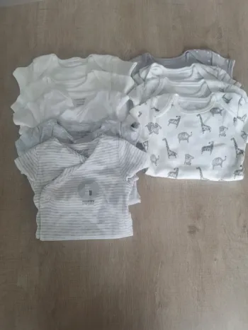Lot 9 bodies