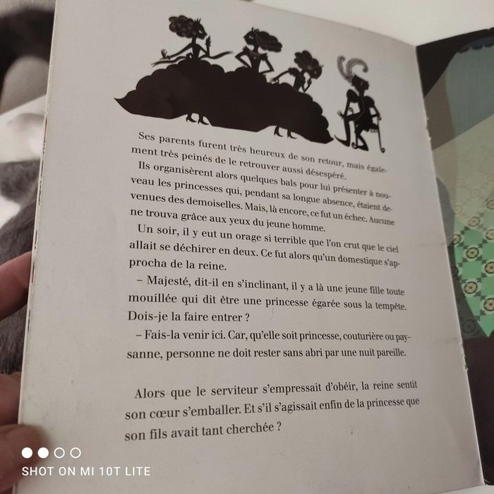 La princesse au petit pois - photo numéro 5