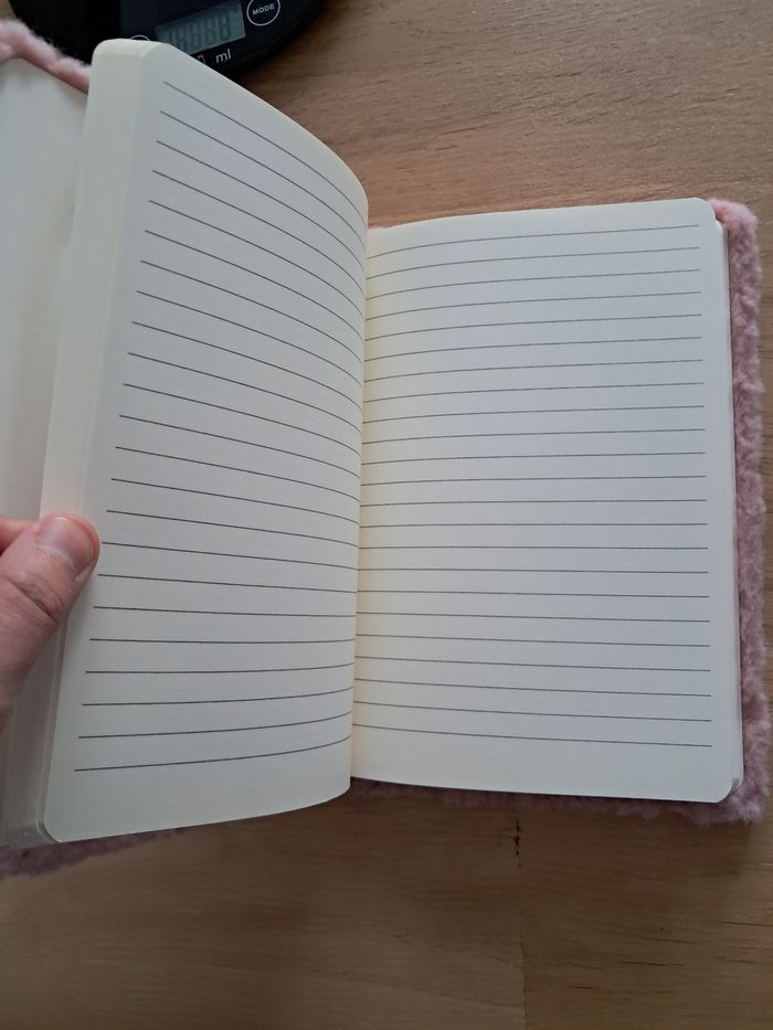 Carnet - photo numéro 2
