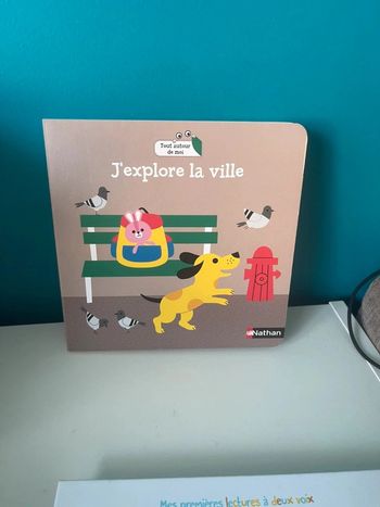 Livre à volets j’explore la ville neuf