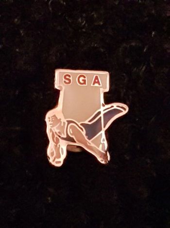 Pin's SGA
