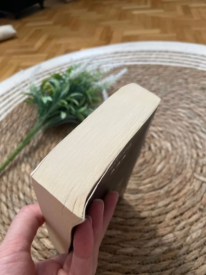 Livre - Le Faux Prophète - photo numéro 6