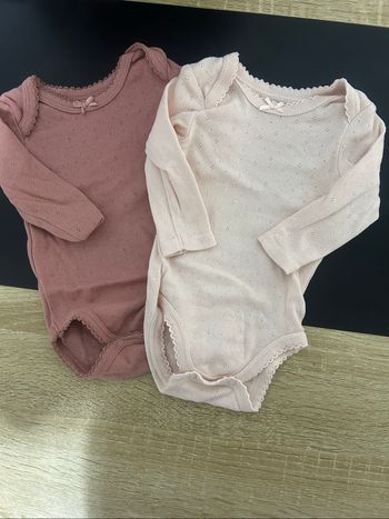 Bodies