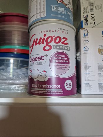 Guigoz digest +