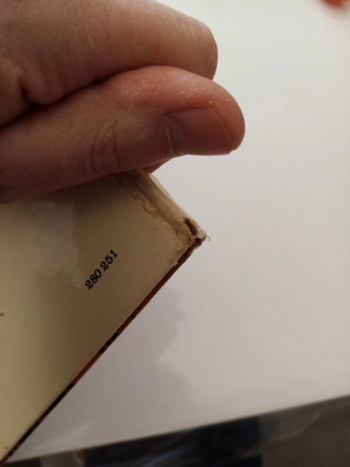 Tiriel héritier d'un monde - photo numéro 6