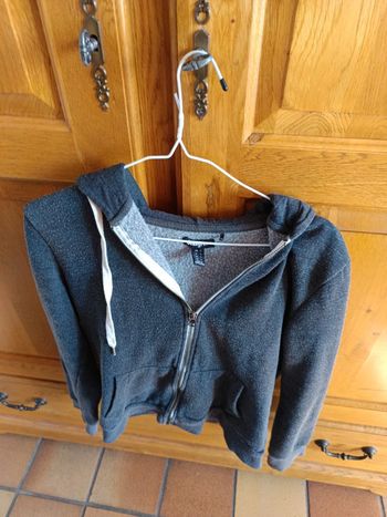 Vestes
