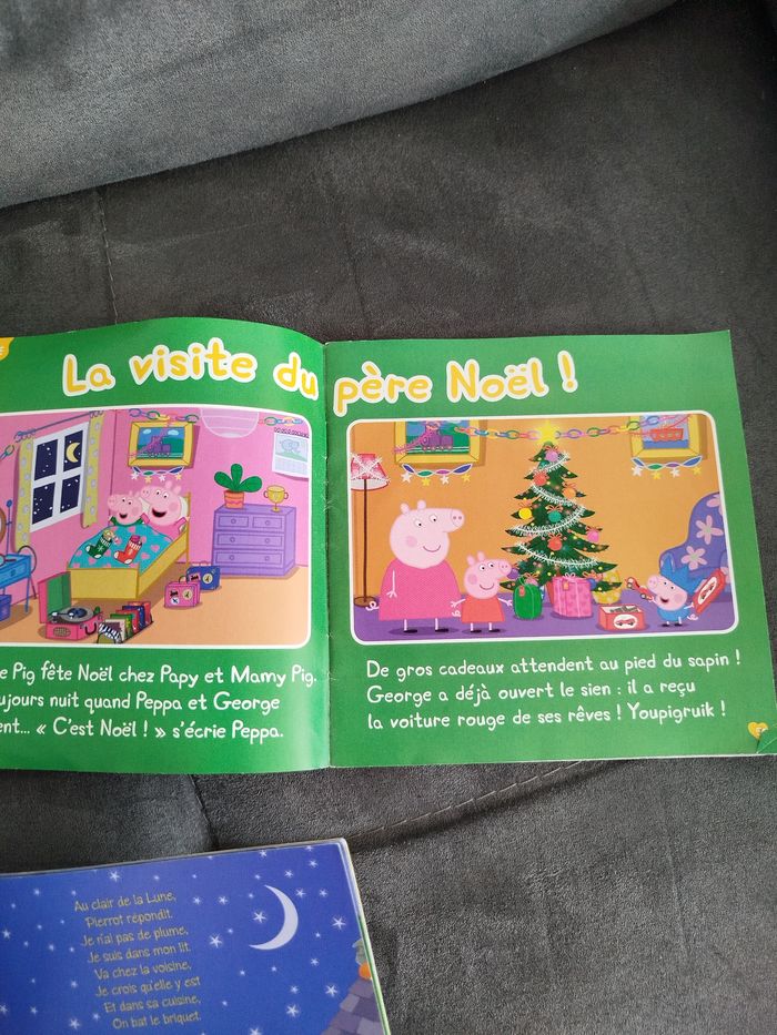 Lot 3 petit livres - photo numéro 7