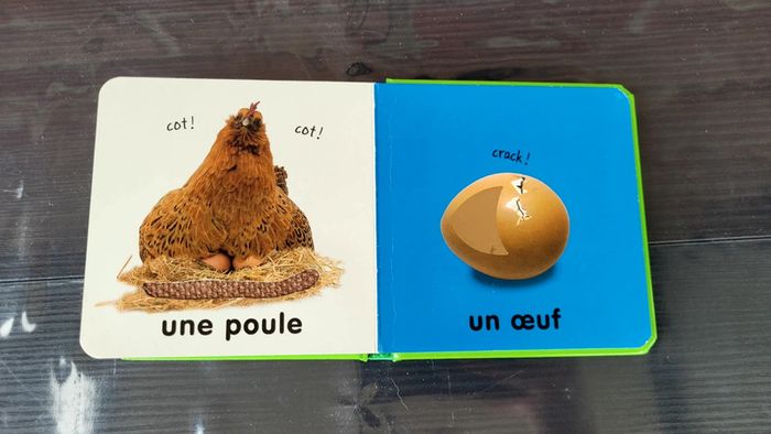 Livre à toucher - photo numéro 8