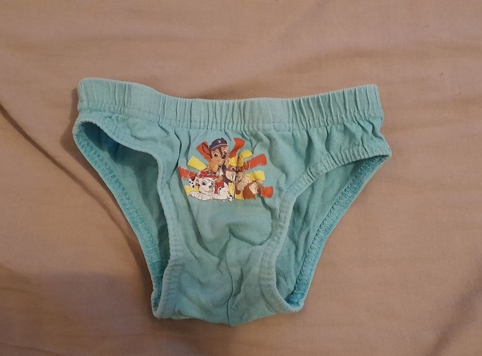 Lot de 6 slips pat patrouille - photo numéro 4