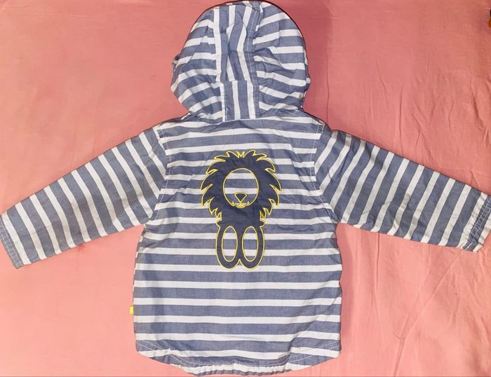 Veste à capuche doublé 18 mois zip - photo numéro 2