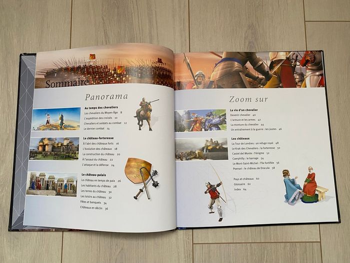 Livre Les chevaliers à la loupe - photo numéro 3