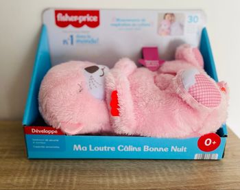 Ma loutre câline rose 