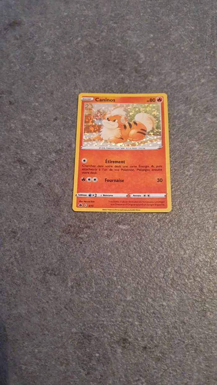 Carte Pokemon Caninos