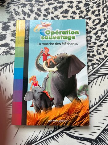 Opération sauvetage la marche des éléphants