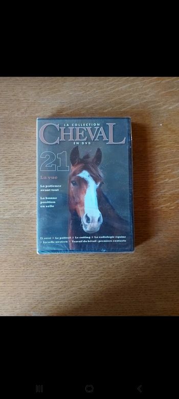 DVD