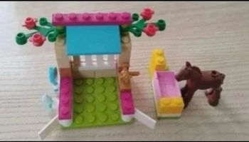 LEGO FRIENDS 41089_le petit poulain