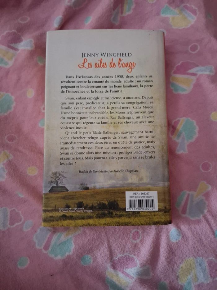 Les ailes de l'ange - photo numéro 3