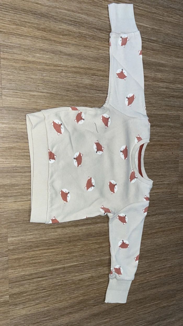 Ensemble renard