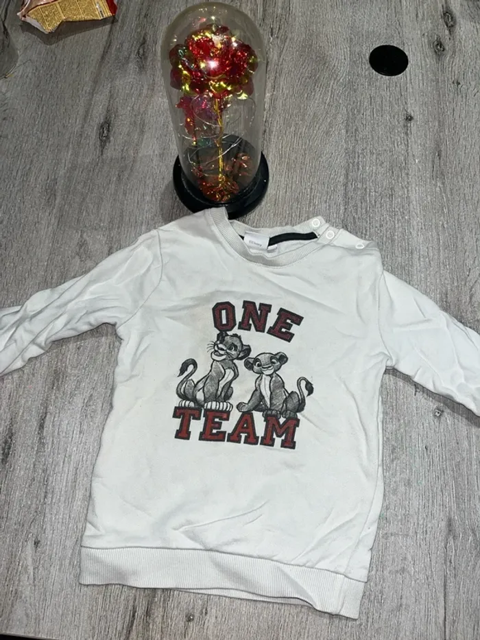 🚀 Sweat-shirt enfant "One Team" roi lion 🚀