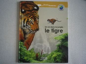 LE TIGRE