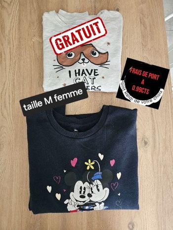 Pull minnie taille M femme + 1 gratuit