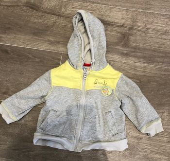 Sweat gris la compagnie des petits 18 mois