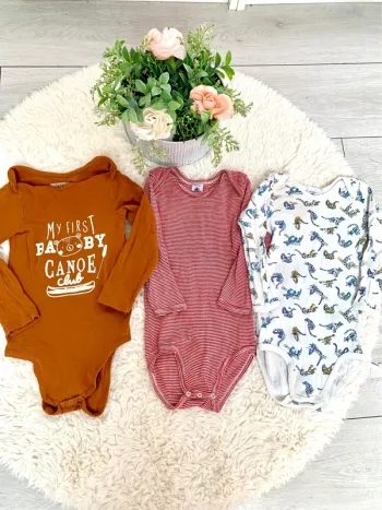 3 bodys bébé garcons 36M