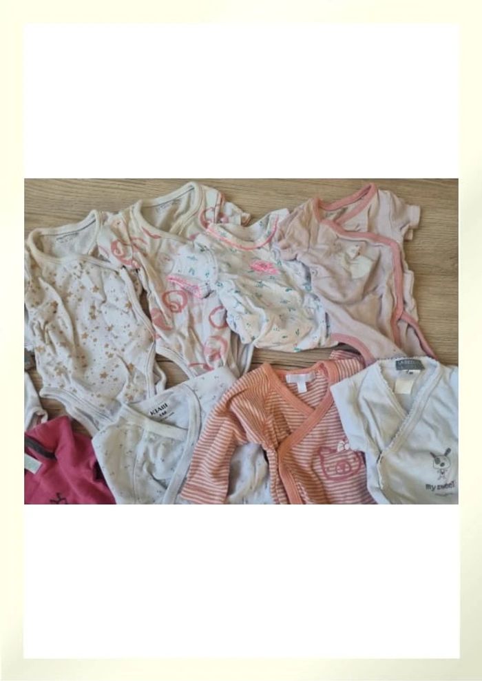 Lot de 12 body - photo numéro 4