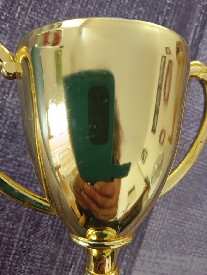 Coupe plus médaille - photo numéro 5