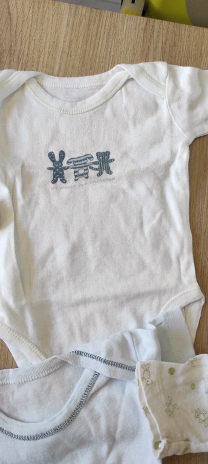 Lot bodies 6 mois - photo numéro 4