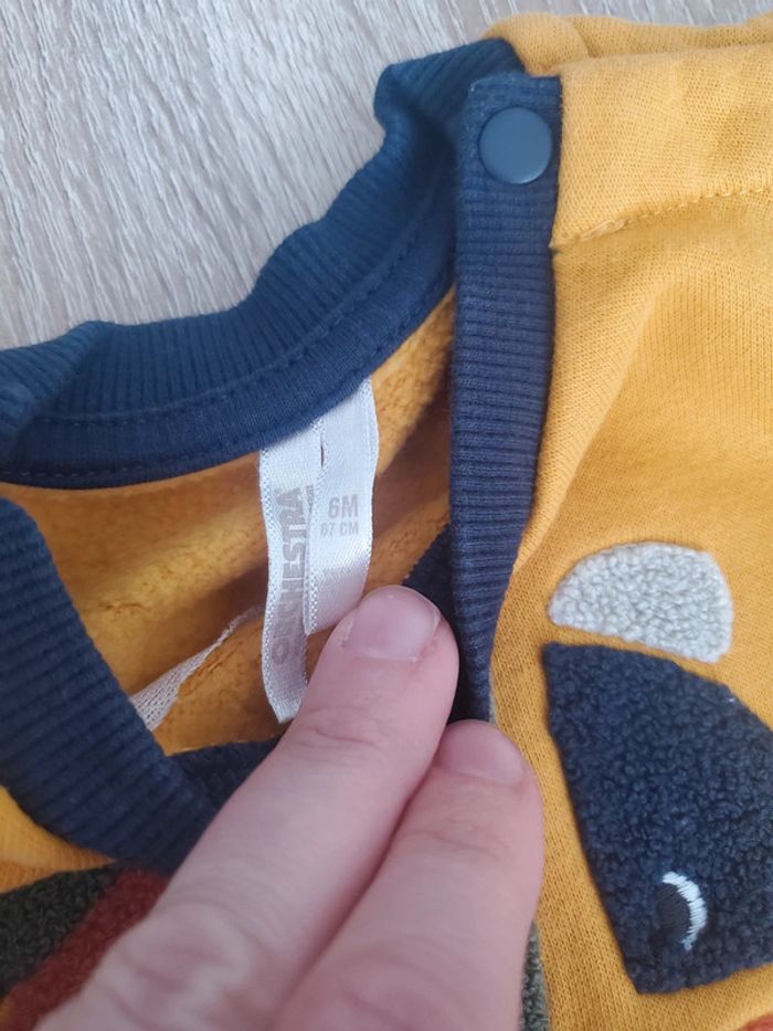 Pull animaux - photo numéro 2
