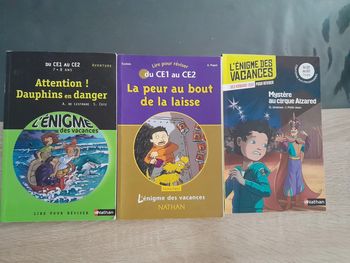 lot 3 livres pour réviser du CE1 au CE2